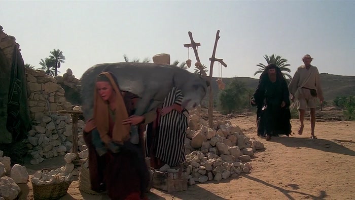 [ DONKEY BRAYS ]  