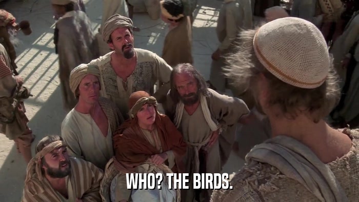WHO? THE BIRDS.  