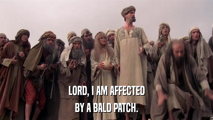 LORD, I AM AFFECTED BY A BALD PATCH. 