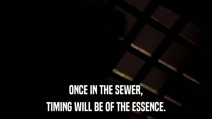 ONCE IN THE SEWER, TIMING WILL BE OF THE ESSENCE. 