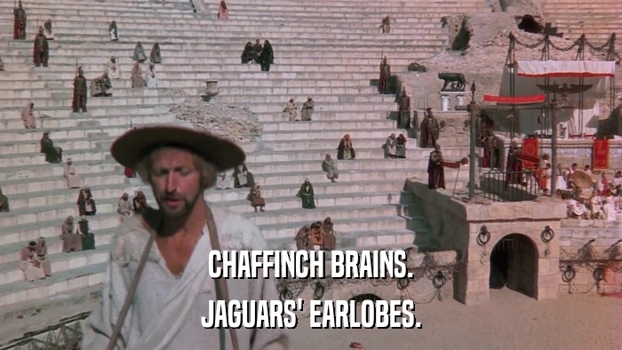 CHAFFINCH BRAINS. JAGUARS' EARLOBES. 
