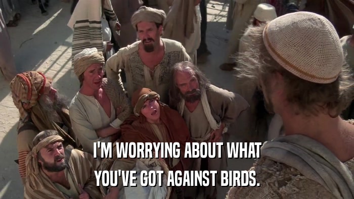 I'M WORRYING ABOUT WHAT YOU'VE GOT AGAINST BIRDS. 