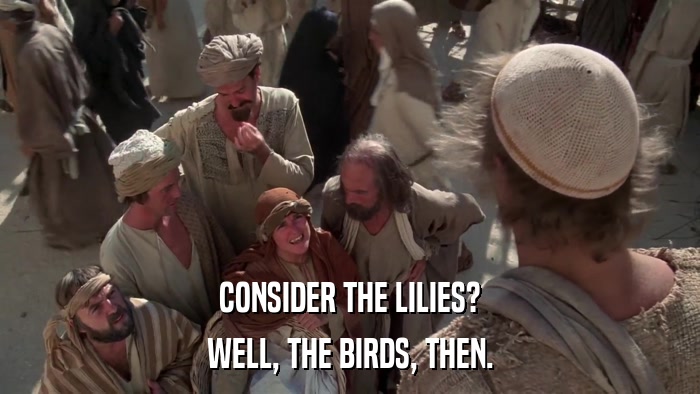 CONSIDER THE LILIES? WELL, THE BIRDS, THEN. 