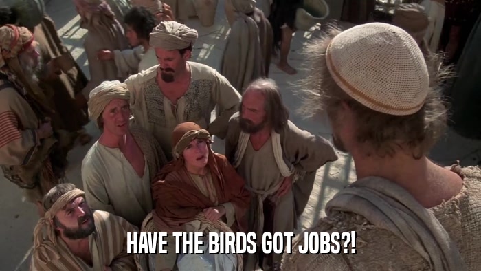 HAVE THE BIRDS GOT JOBS?!  