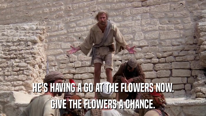 HE'S HAVING A GO AT THE FLOWERS NOW. GIVE THE FLOWERS A CHANCE. 