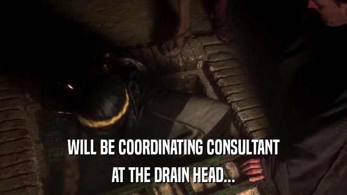 WILL BE COORDINATING CONSULTANT AT THE DRAIN HEAD... 