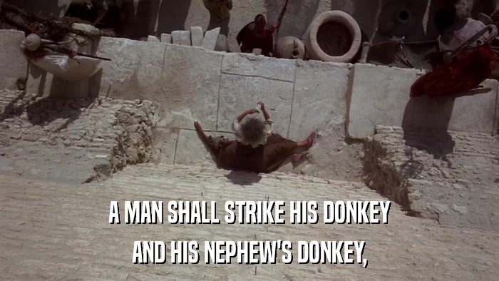 A MAN SHALL STRIKE HIS DONKEY AND HIS NEPHEW'S DONKEY, 