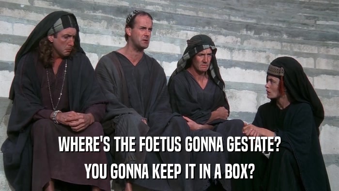 WHERE'S THE FOETUS GONNA GESTATE? YOU GONNA KEEP IT IN A BOX? 