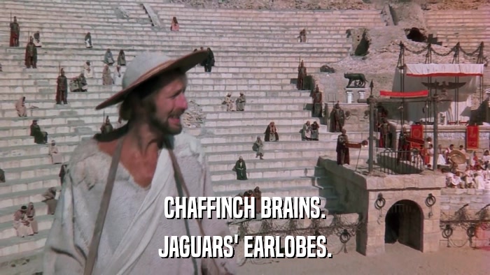 CHAFFINCH BRAINS. JAGUARS' EARLOBES. 