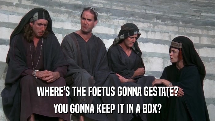 WHERE'S THE FOETUS GONNA GESTATE? YOU GONNA KEEP IT IN A BOX? 