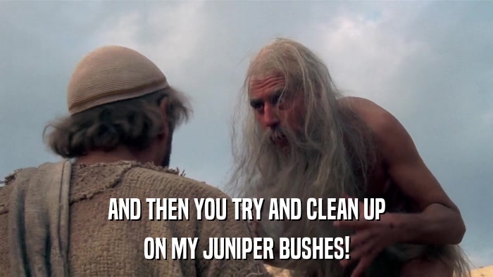 AND THEN YOU TRY AND CLEAN UP ON MY JUNIPER BUSHES! 