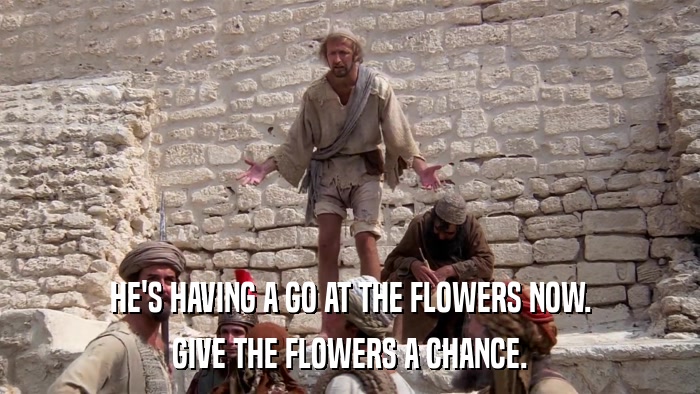 HE'S HAVING A GO AT THE FLOWERS NOW. GIVE THE FLOWERS A CHANCE. 