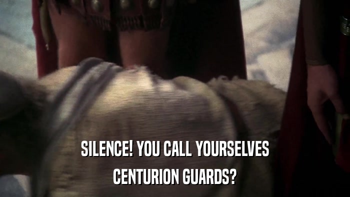 SILENCE! YOU CALL YOURSELVES CENTURION GUARDS? 