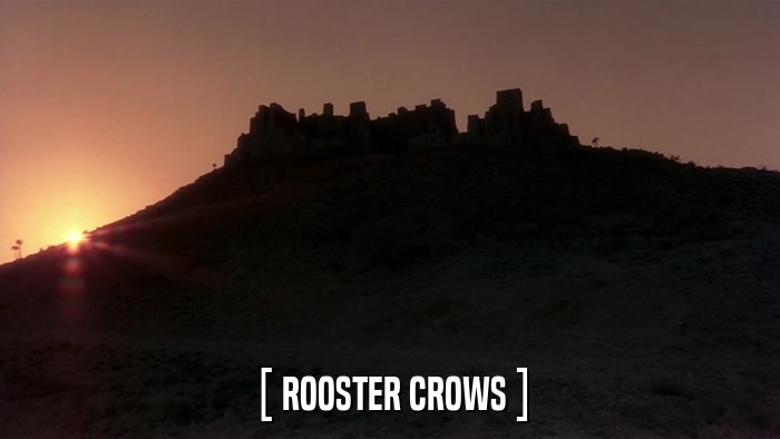 [ ROOSTER CROWS ]  