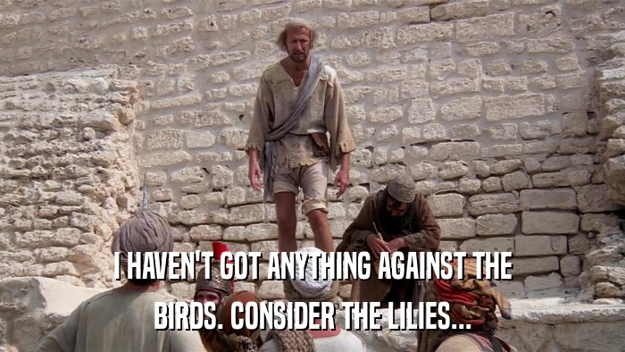 I HAVEN'T GOT ANYTHING AGAINST THE BIRDS. CONSIDER THE LILIES... 