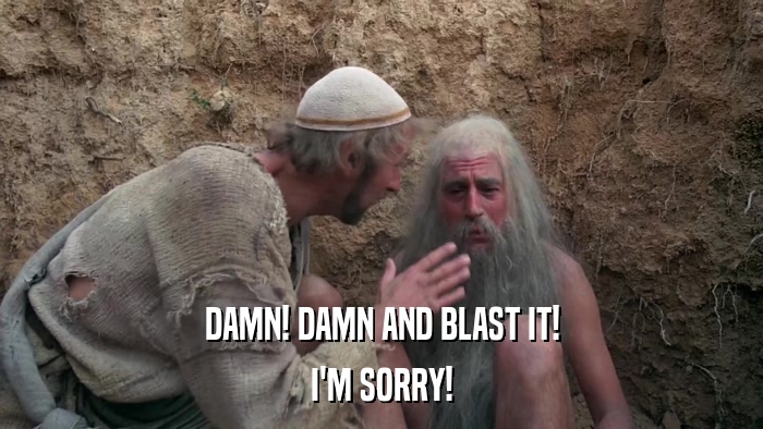 DAMN! DAMN AND BLAST IT! I'M SORRY! 