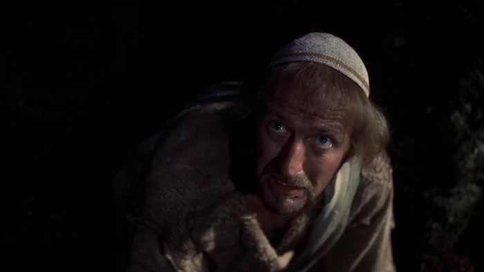 SLIPPED HIM A FEW SHEKELS? YOU SAW HIM SPIT IN MY FACE! 