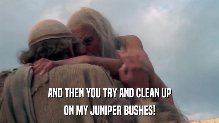 AND THEN YOU TRY AND CLEAN UP ON MY JUNIPER BUSHES! 