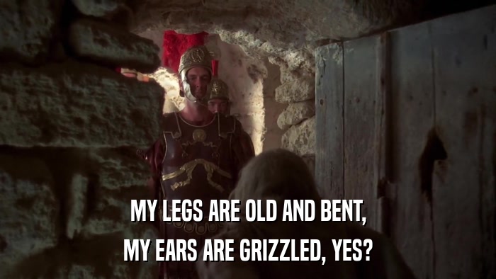 MY LEGS ARE OLD AND BENT, MY EARS ARE GRIZZLED, YES? 