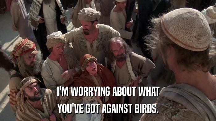 I'M WORRYING ABOUT WHAT YOU'VE GOT AGAINST BIRDS. 