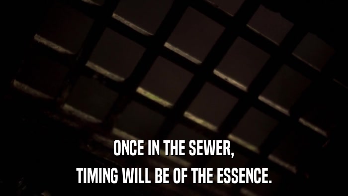 ONCE IN THE SEWER, TIMING WILL BE OF THE ESSENCE. 