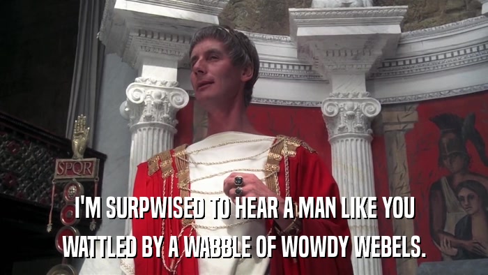 I'M SURPWISED TO HEAR A MAN LIKE YOU WATTLED BY A WABBLE OF WOWDY WEBELS. 