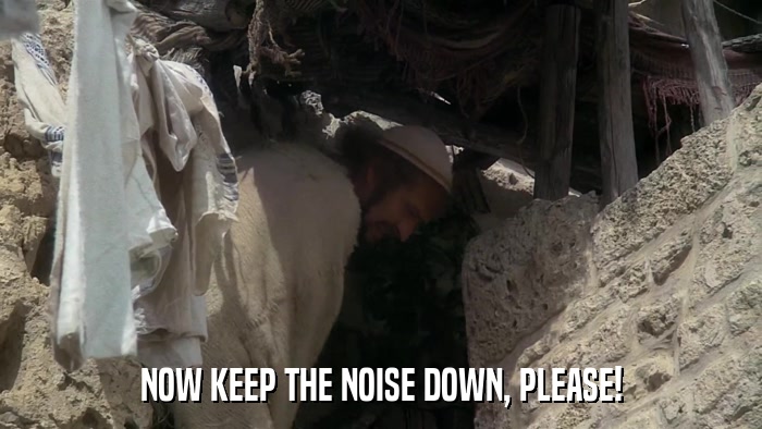 NOW KEEP THE NOISE DOWN, PLEASE!  