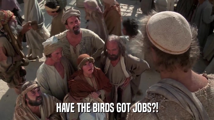 HAVE THE BIRDS GOT JOBS?!  