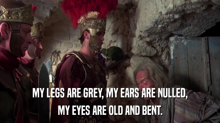 MY LEGS ARE GREY, MY EARS ARE NULLED, MY EYES ARE OLD AND BENT. 