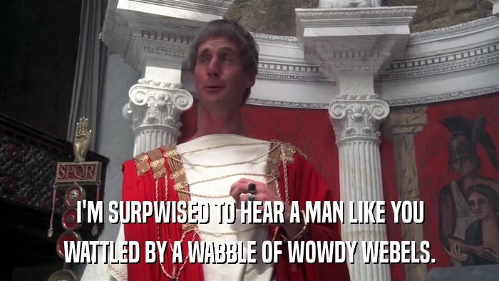 I'M SURPWISED TO HEAR A MAN LIKE YOU WATTLED BY A WABBLE OF WOWDY WEBELS. 