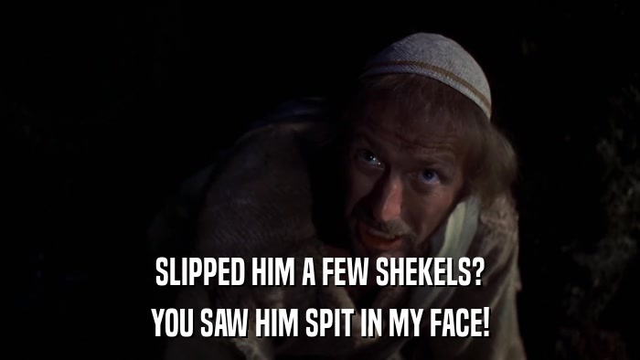 SLIPPED HIM A FEW SHEKELS? YOU SAW HIM SPIT IN MY FACE! 
