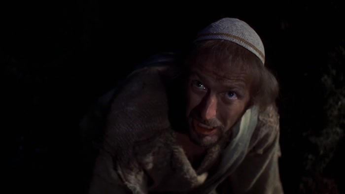 SLIPPED HIM A FEW SHEKELS? YOU SAW HIM SPIT IN MY FACE! 