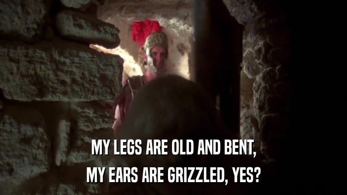 MY LEGS ARE OLD AND BENT, MY EARS ARE GRIZZLED, YES? 