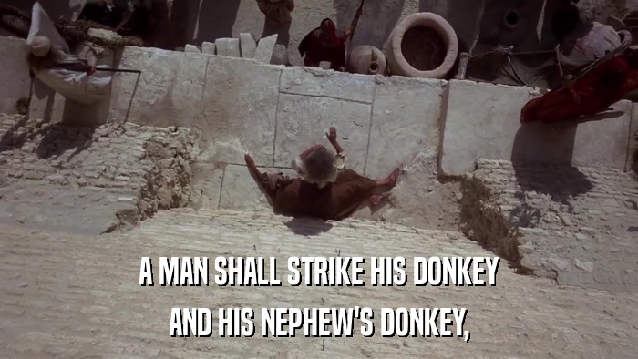 A MAN SHALL STRIKE HIS DONKEY AND HIS NEPHEW'S DONKEY, 