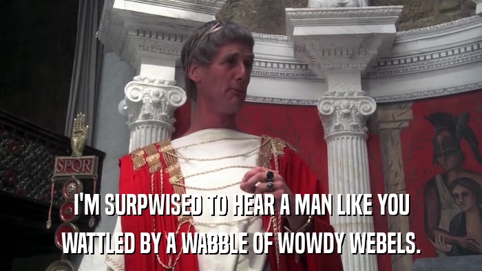 I'M SURPWISED TO HEAR A MAN LIKE YOU WATTLED BY A WABBLE OF WOWDY WEBELS. 