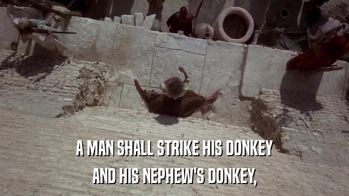 A MAN SHALL STRIKE HIS DONKEY AND HIS NEPHEW'S DONKEY, 