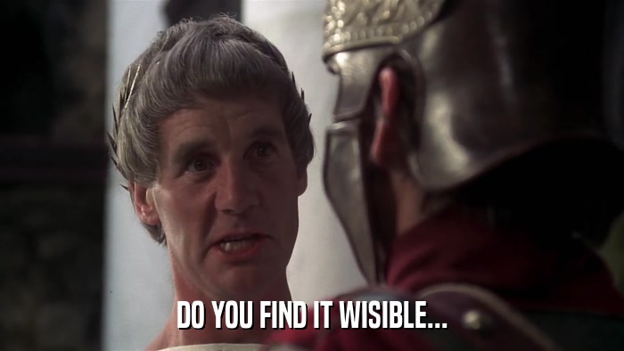 DO YOU FIND IT WISIBLE...  