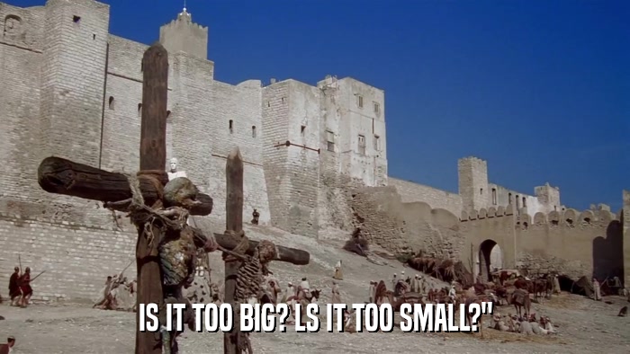 IS IT TOO BIG? LS IT TOO SMALL?