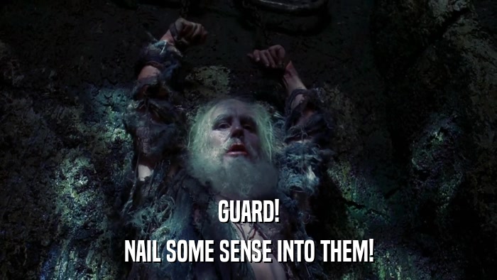GUARD! NAIL SOME SENSE INTO THEM! 