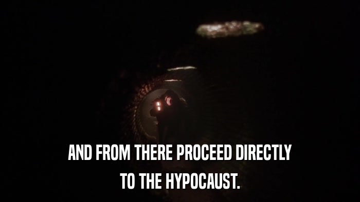 AND FROM THERE PROCEED DIRECTLY TO THE HYPOCAUST. 