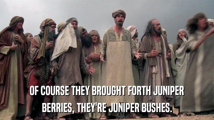OF COURSE THEY BROUGHT FORTH JUNIPER BERRIES, THEY'RE JUNIPER BUSHES. 