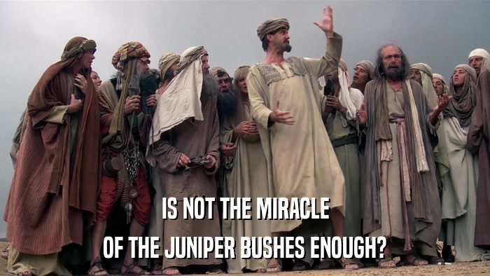 IS NOT THE MIRACLE OF THE JUNIPER BUSHES ENOUGH? 