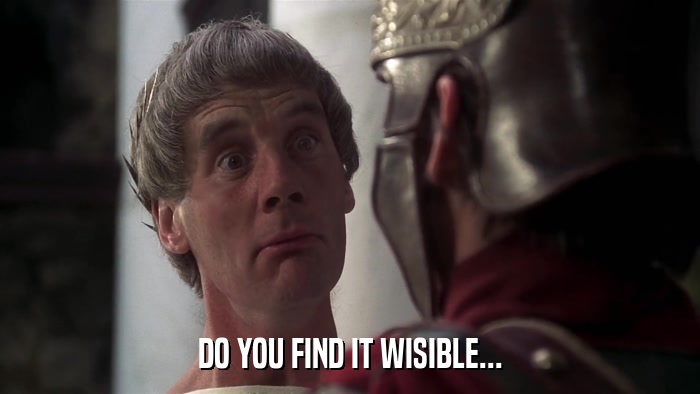 DO YOU FIND IT WISIBLE...  