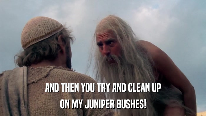 AND THEN YOU TRY AND CLEAN UP ON MY JUNIPER BUSHES! 