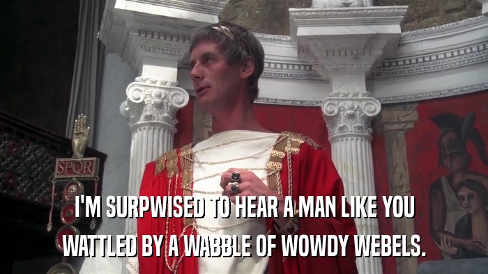 I'M SURPWISED TO HEAR A MAN LIKE YOU WATTLED BY A WABBLE OF WOWDY WEBELS. 