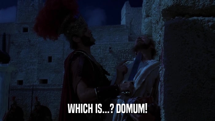WHICH IS...? DOMUM!  