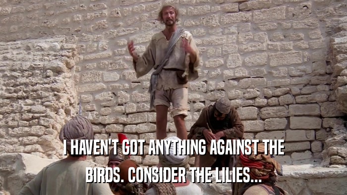 I HAVEN'T GOT ANYTHING AGAINST THE BIRDS. CONSIDER THE LILIES... 