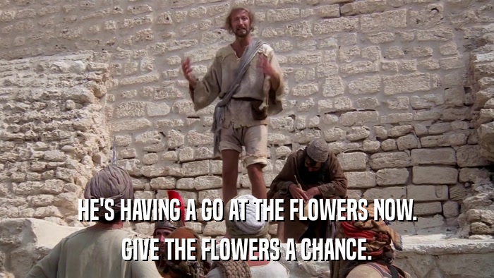 HE'S HAVING A GO AT THE FLOWERS NOW. GIVE THE FLOWERS A CHANCE. 