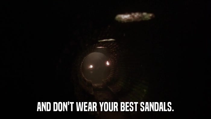 AND DON'T WEAR YOUR BEST SANDALS.  