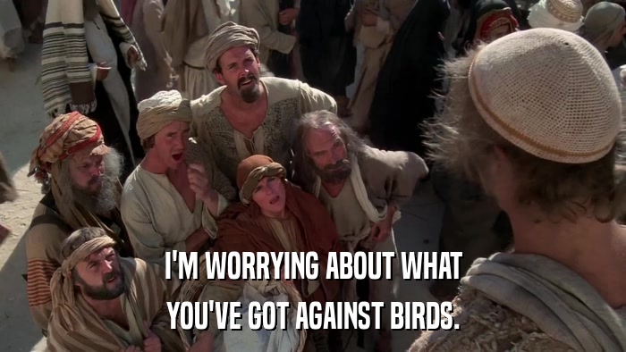 I'M WORRYING ABOUT WHAT YOU'VE GOT AGAINST BIRDS. 